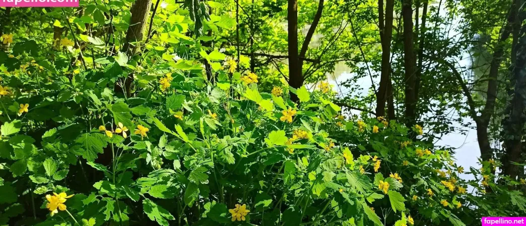 Monicutex OnlyFans Thumbnail #swZNugpaYX