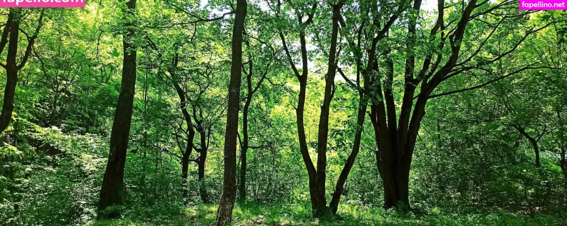 Monicutex2 OnlyFans Thumbnail #66vK0XV1Nn