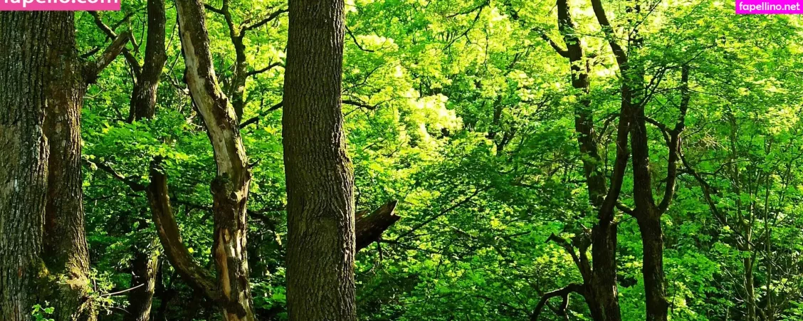 Monicutex2 OnlyFans Thumbnail #XS9CzRB9j8