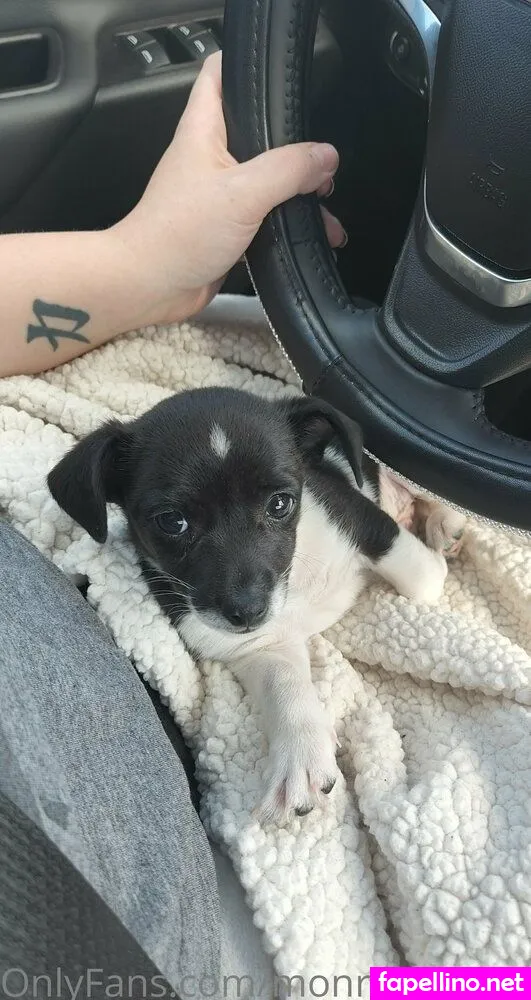 jademonroe, monroe.jade_free Nude Leaked OnlyFans Photo #YxpIEKwi8T