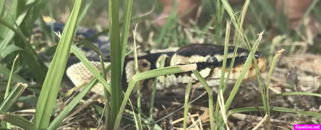 Moon Momma Main Profile Photo