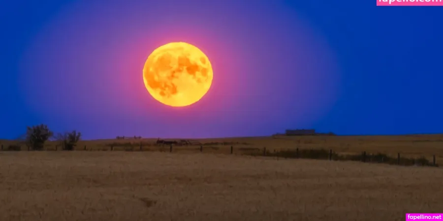 Moonlunar 1 Main Profile Photo