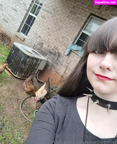 Morbidmist OnlyFans Thumbnail #5ru0xo4jFi