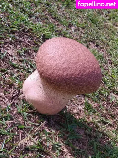 Morbidmist OnlyFans Thumbnail #P8cmjTU3cy