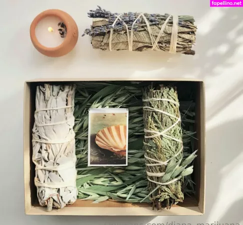 More Than Palnts OnlyFans Thumbnail #HcBLdRfMEN