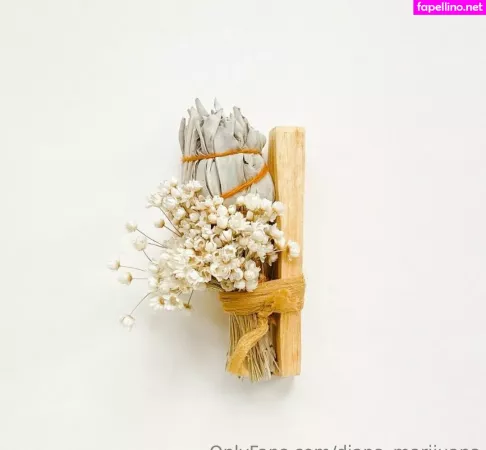 More Than Palnts OnlyFans Thumbnail #NKCQWx9CKb