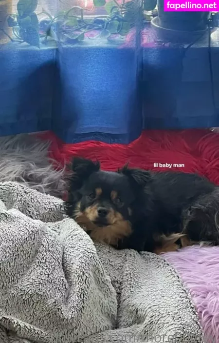 More00grey 3 OnlyFans Thumbnail #uE4GRuwehZ