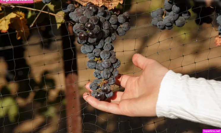 Morgan Attwood OnlyFans Thumbnail #ppdexhMMGu