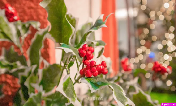 Moriyaexhibit OnlyFans Thumbnail #VquK3PRsC5