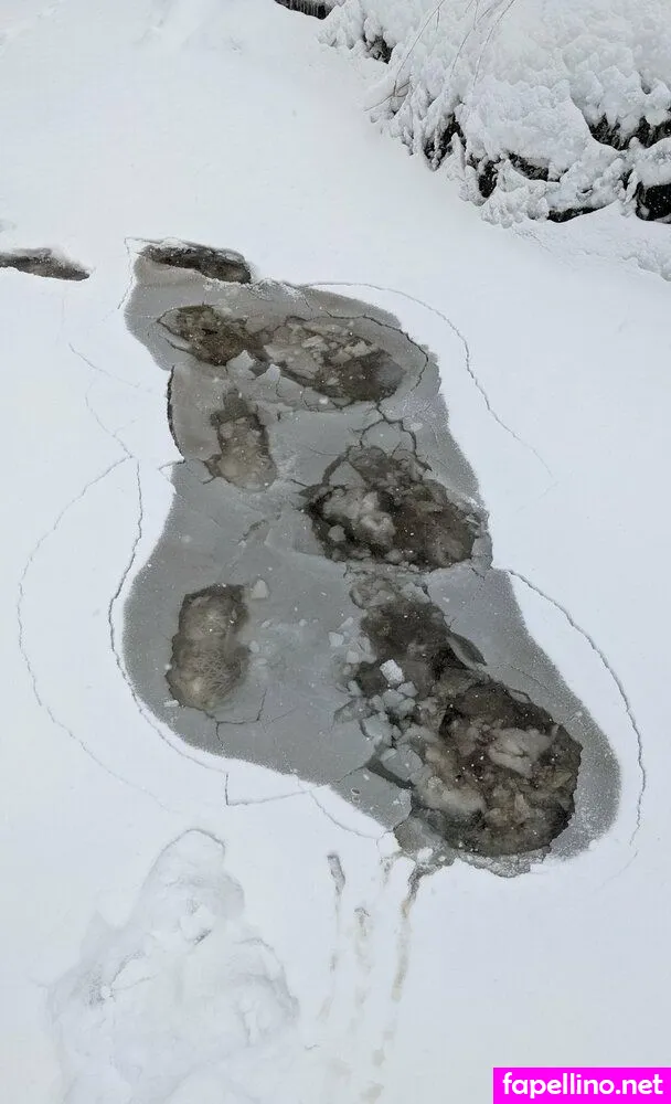 moxxhole, moxxipole Nude Leaked OnlyFans Photo #gqUlbQZSJl