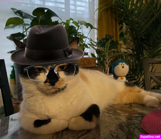 Moyumommy Main Profile Photo