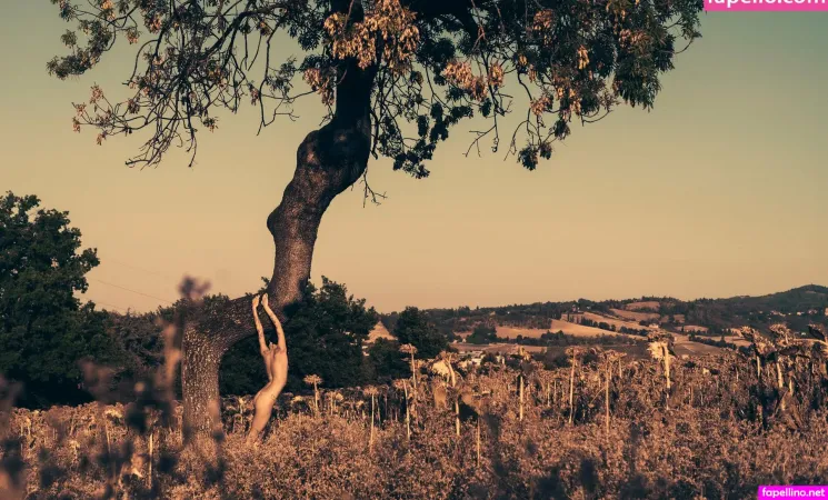 Mr Hxly OnlyFans Thumbnail #wBz6ISioRK