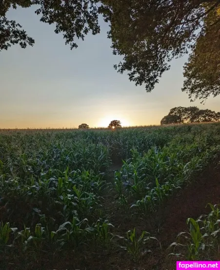 Mrrobinson69 Main Profile Photo