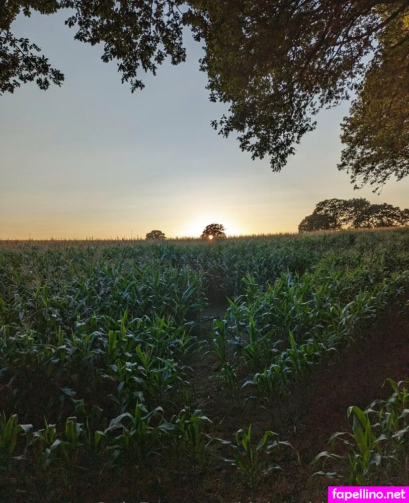 misterrobinsons, mrrobinson69 Nude Leaked OnlyFans Photo #iwFQSFFxNE