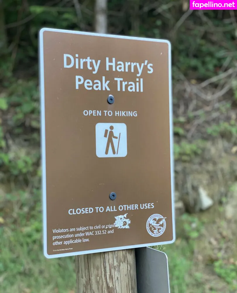 ms.adventure, msadventureisland Nude Leaked OnlyFans Photo #o60pujdpA4