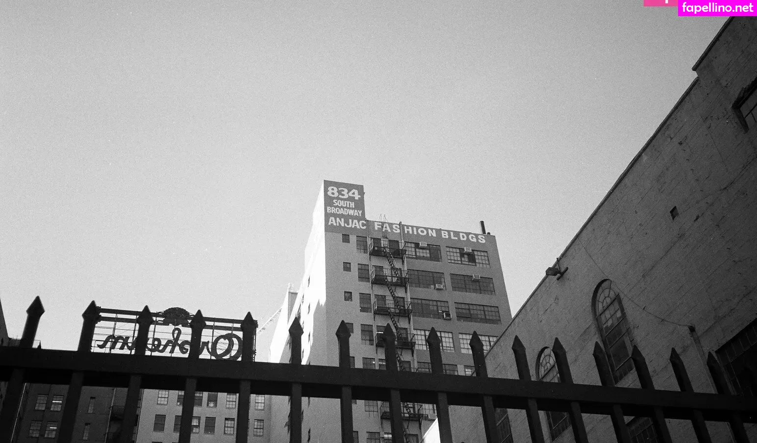 ms_nacke, msnacke3x Nude Leaked OnlyFans Photo #KoUCUwd222