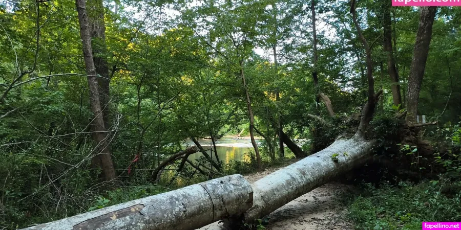 Ms Sweetmonroe OnlyFans Thumbnail #5HplZhwpfj