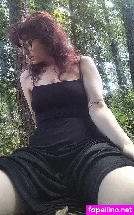 Mscellanea Main Profile Photo