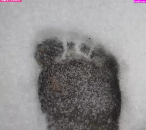 Msdidi K OnlyFans Thumbnail #HsiEqHP6aO