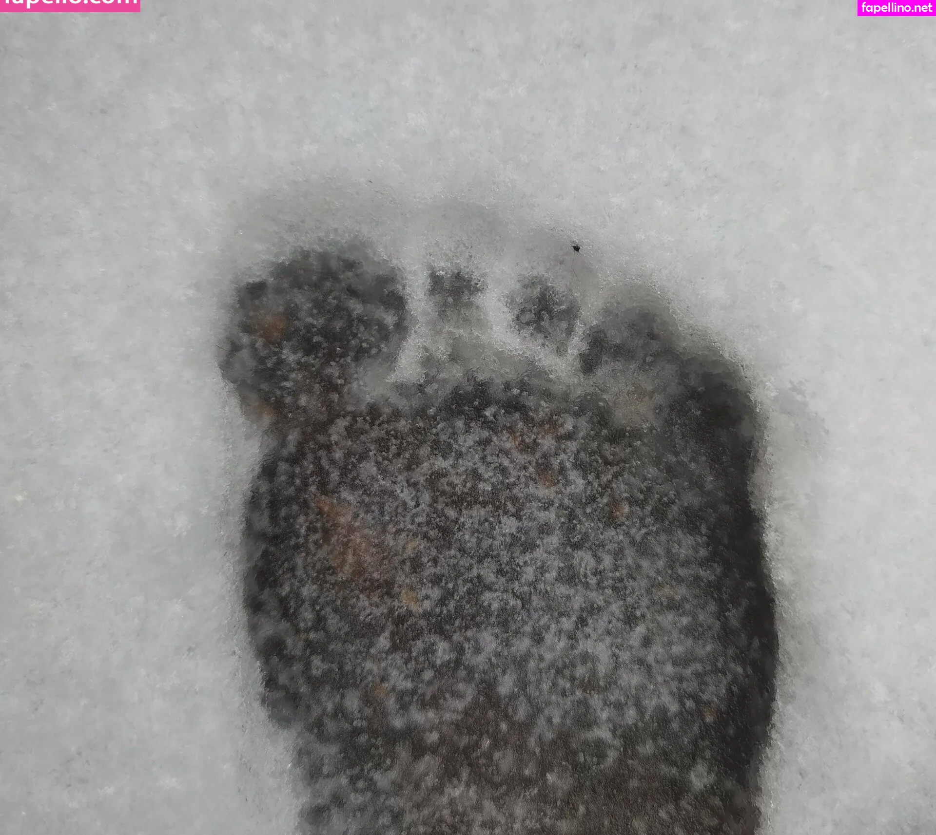 msdidi.k, msdidik.bckp Nude Leaked OnlyFans Photo #HsiEqHP6aO