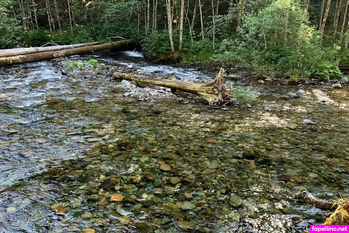 mila.afa19, msmila Nude Leaked OnlyFans Photo #DiUZ4N1Ic0