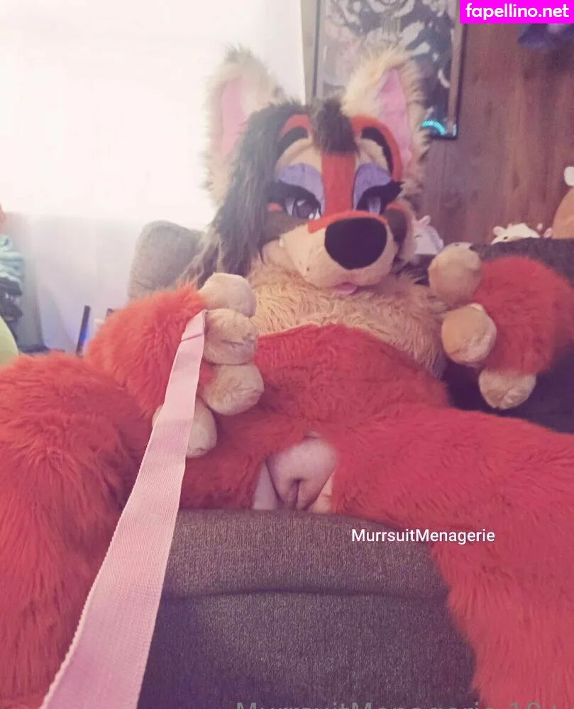_chausterrrr, murrsuitmenagerie Nude Leaked OnlyFans Photo #QkXQTSBLYv