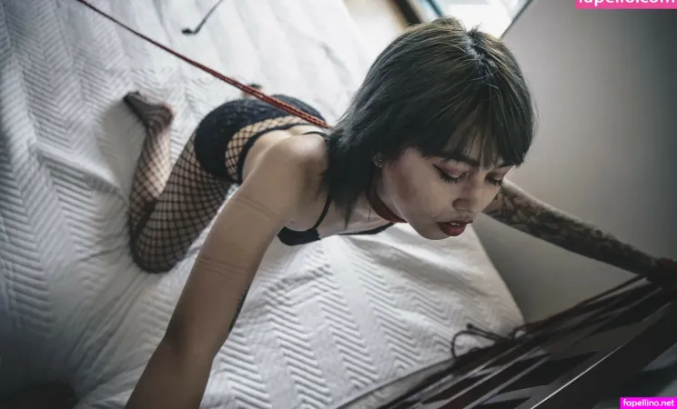 Mushroomblight OnlyFans Thumbnail #GCGCaGWQhp