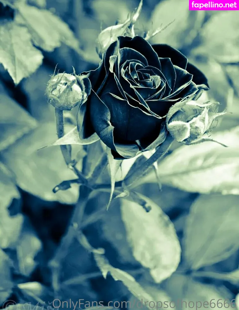 mydarkside6666, scorpiokidd_86 Nude Leaked OnlyFans Photo #Vg8uWSOfhg