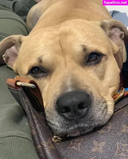 Myersquats OnlyFans Thumbnail #XXRRTdQi0L