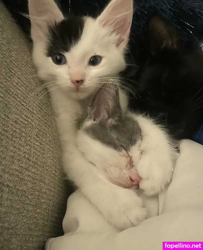 myramoans Nude Leaked OnlyFans Photo #9RbAk4Uics