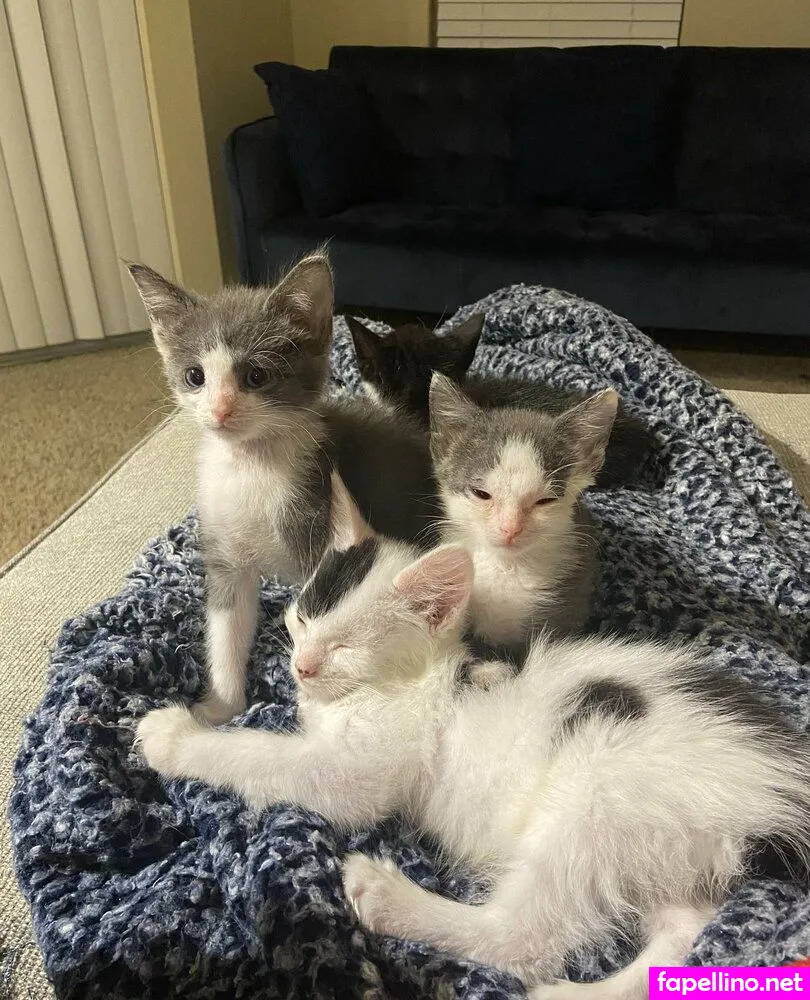 myramoans Nude Leaked OnlyFans Photo #JHJdYQxyGA