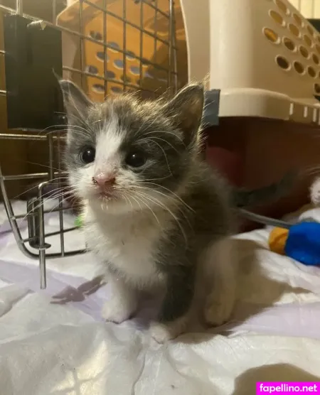 Myramoans OnlyFans Thumbnail #a8WMlMy4KB