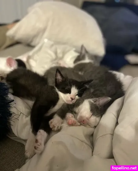 Myramoans OnlyFans Thumbnail #k3J8vIpNY3