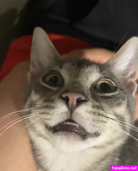 Myramoans OnlyFans Thumbnail #kZu06ovatY