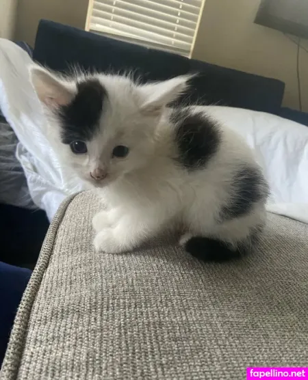 Myramoans OnlyFans Thumbnail #ttHU9l67Js