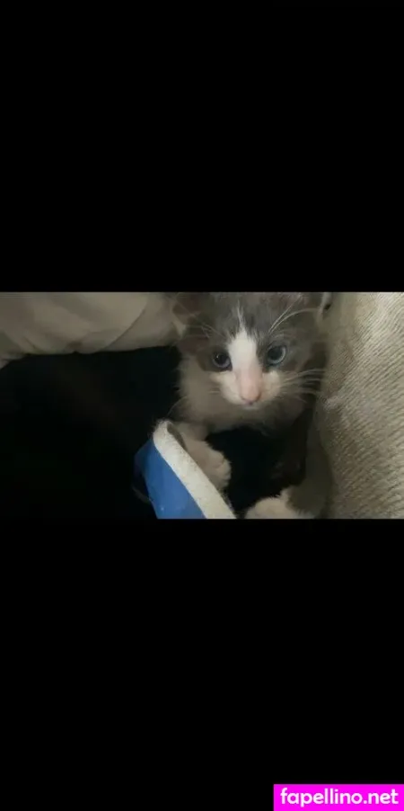 Myramoans OnlyFans Thumbnail #uf9tos7nvU