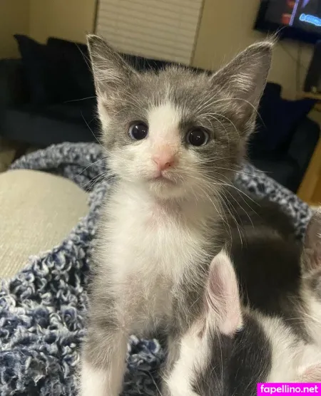 Myramoans OnlyFans Thumbnail #xTYsPf15Qj