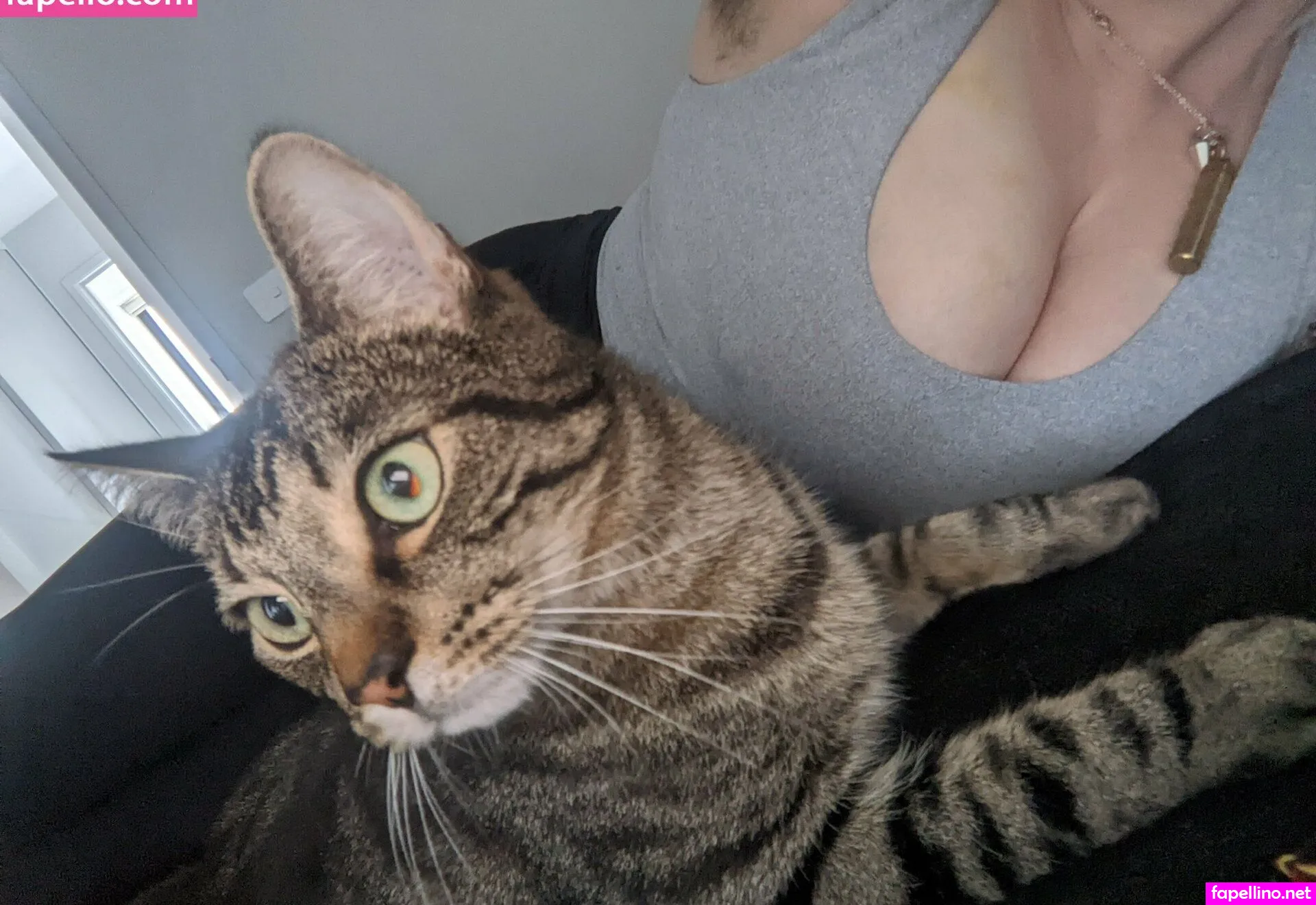 mysterymullet Nude Leaked OnlyFans Photo #PgcZvK819L