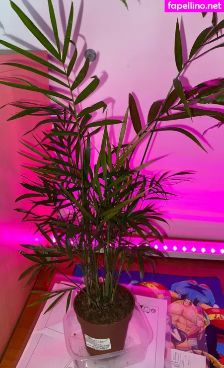 Naaami OnlyFans Thumbnail #8eVqmNwMrt