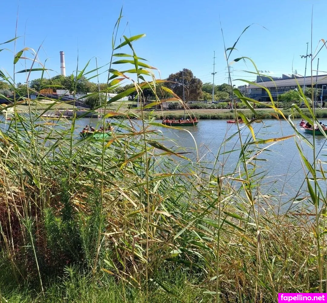 naamabarel Nude Leaked OnlyFans Photo #Zc0xbnvu5m