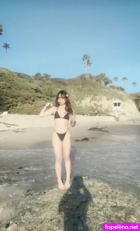 Nabee Main Profile Photo