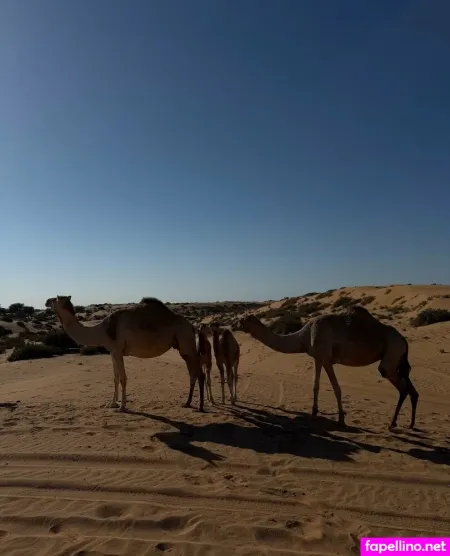 Nakedarlo OnlyFans Thumbnail #8VVKpfHuBp