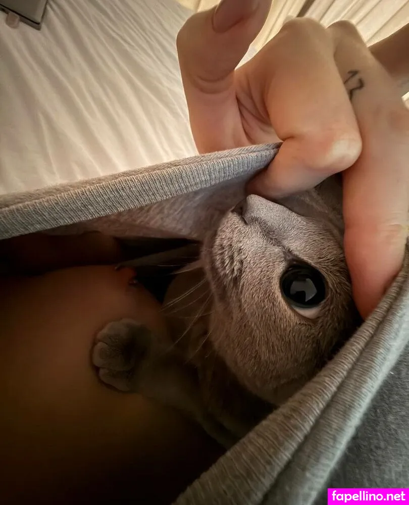 nastya_lisitsa_franz,   Nude Leaked OnlyFans Photo #CCwLztramk