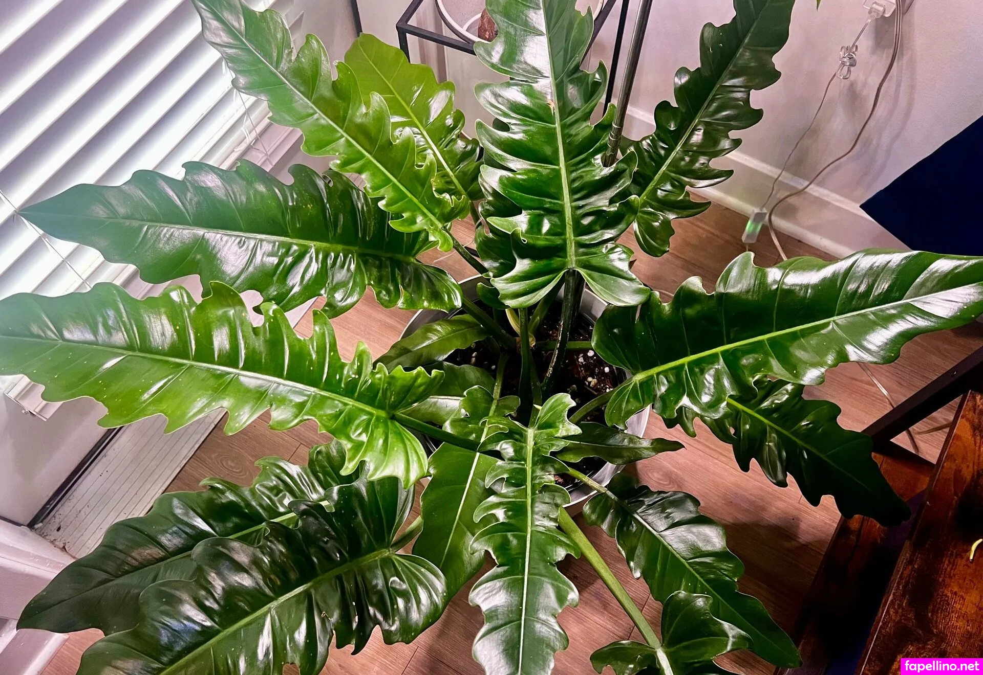 nastynatasha7 Nude Leaked OnlyFans Photo #eixOd0fCGj