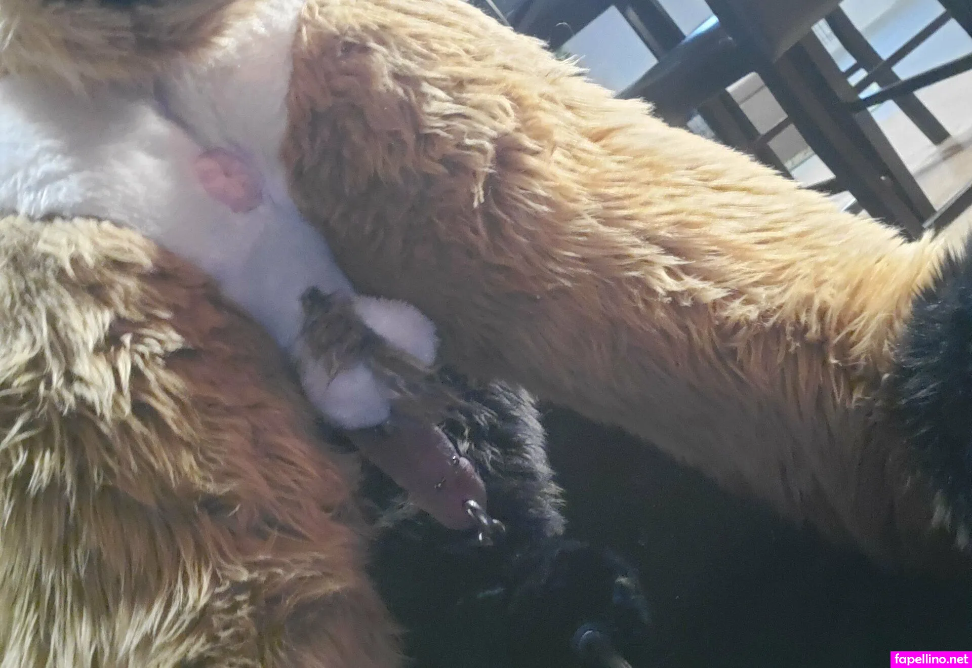 nastyyenaproductions Nude Leaked OnlyFans Photo #FcXaPKH1Zc