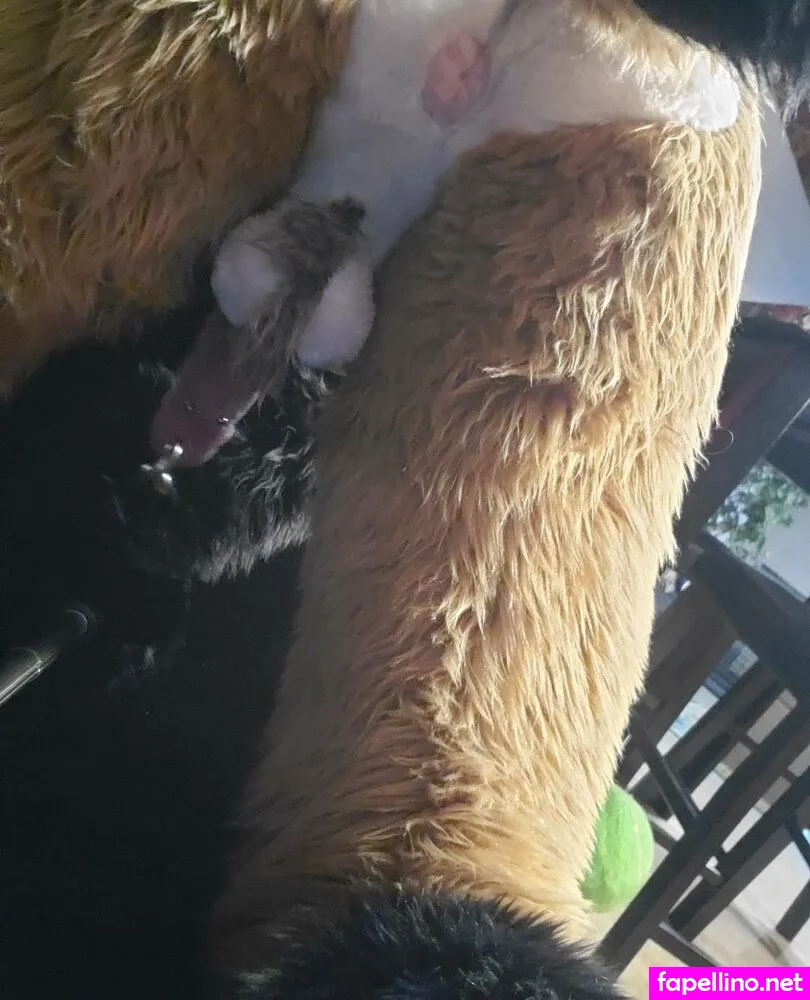 nastyyenaproductions Nude Leaked OnlyFans Photo #V7BlC9kooL