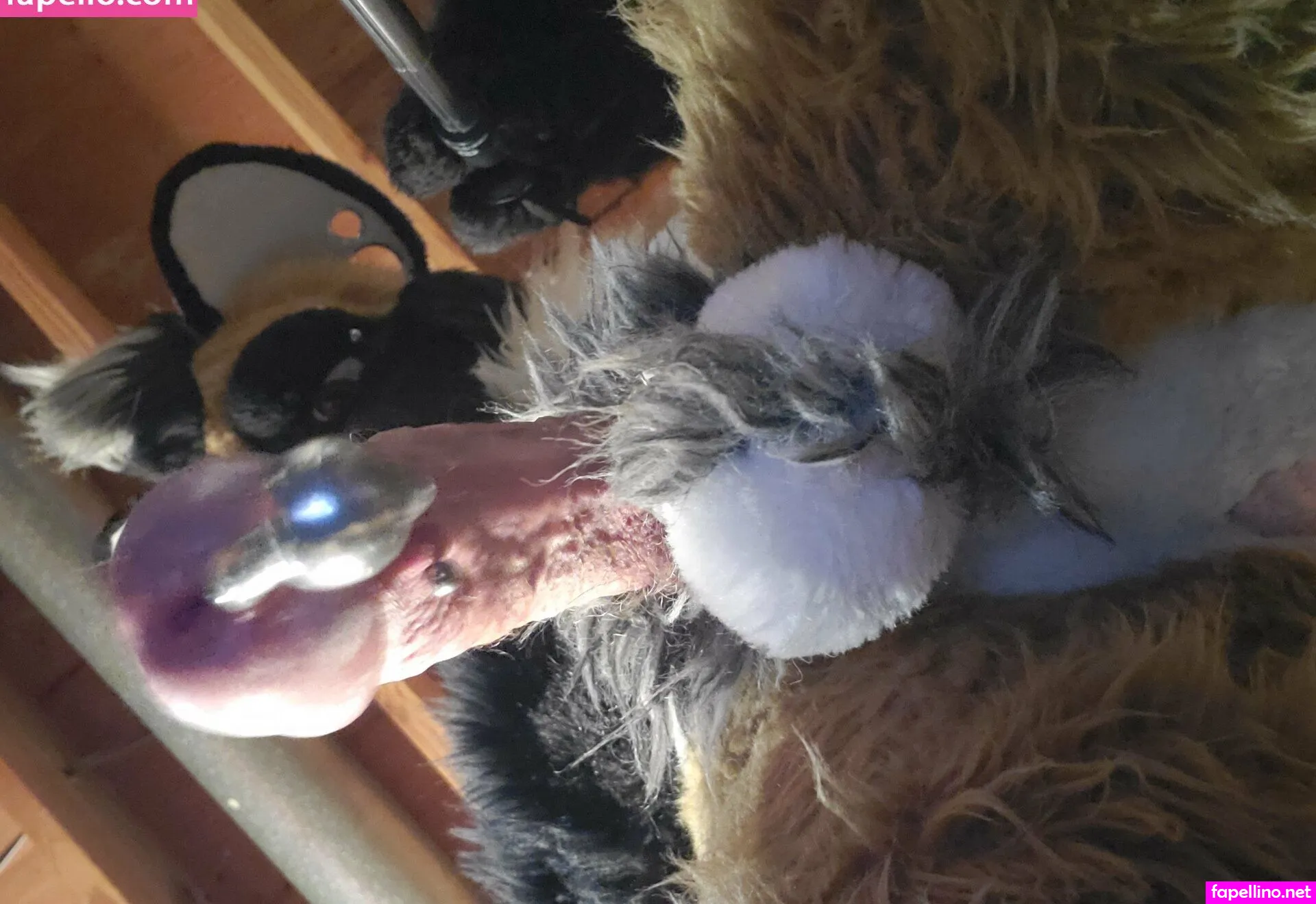 nastyyenaproductions Nude Leaked OnlyFans Photo #ivSSKUSnGy