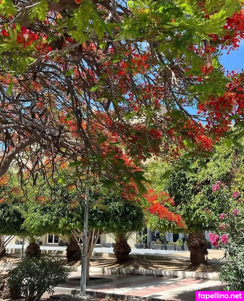 nataliagera_, nataliageraa Nude Leaked OnlyFans Photo #phEXAh3WUt