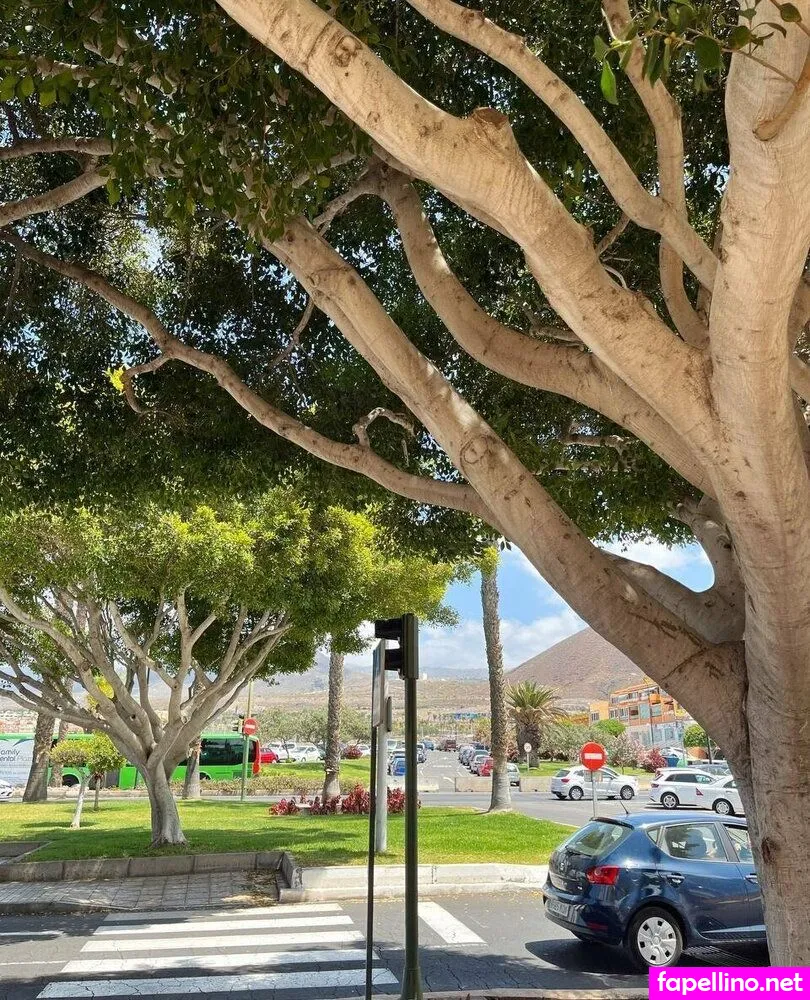 nataliagera_, nataliageraa Nude Leaked OnlyFans Photo #vEIePDBH2v