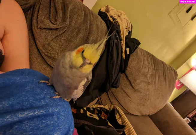 Natalie Minx OnlyFans Thumbnail #BIjBfUiplc